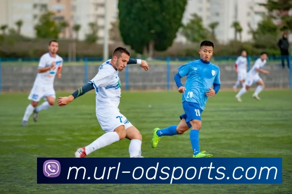 OD体育发展历程